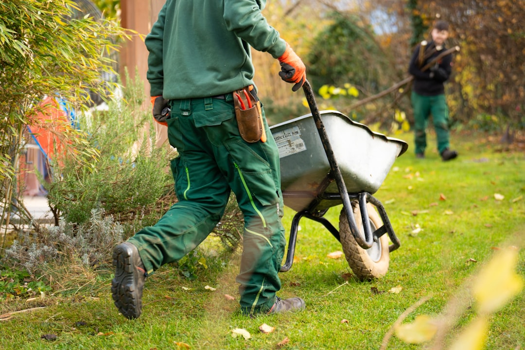services-04 Landscapers cleaning the garden. Person pushing an empty wheelbarrow.